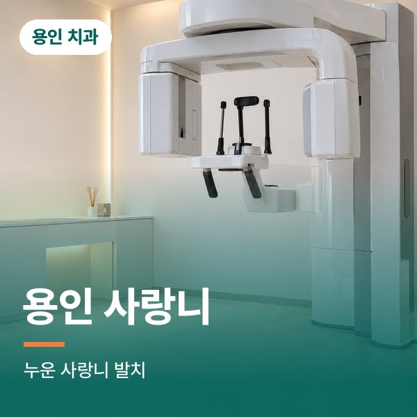 용인 사랑니